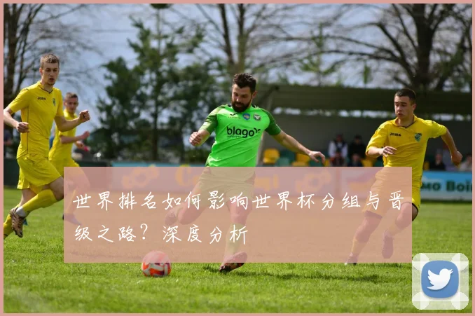 世界排名如何影响世界杯分组与晋级之路？深度分析