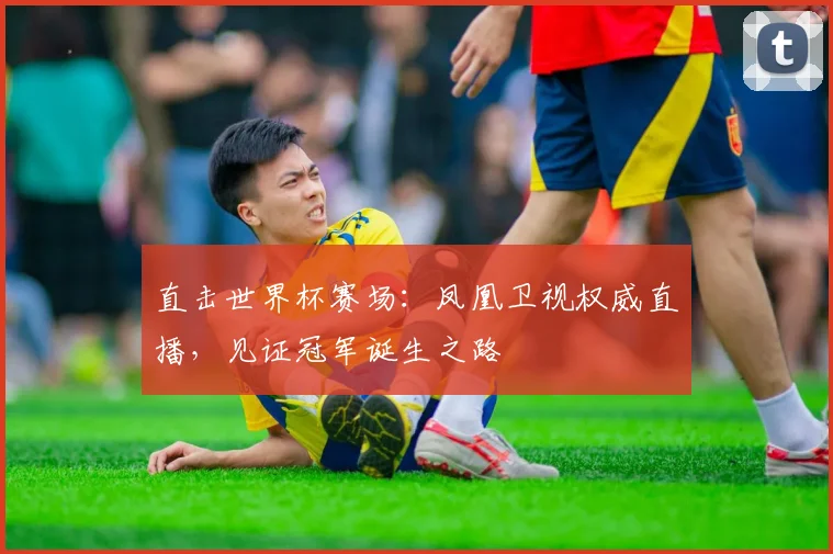 直击世界杯赛场：凤凰卫视权威直播，见证冠军诞生之路